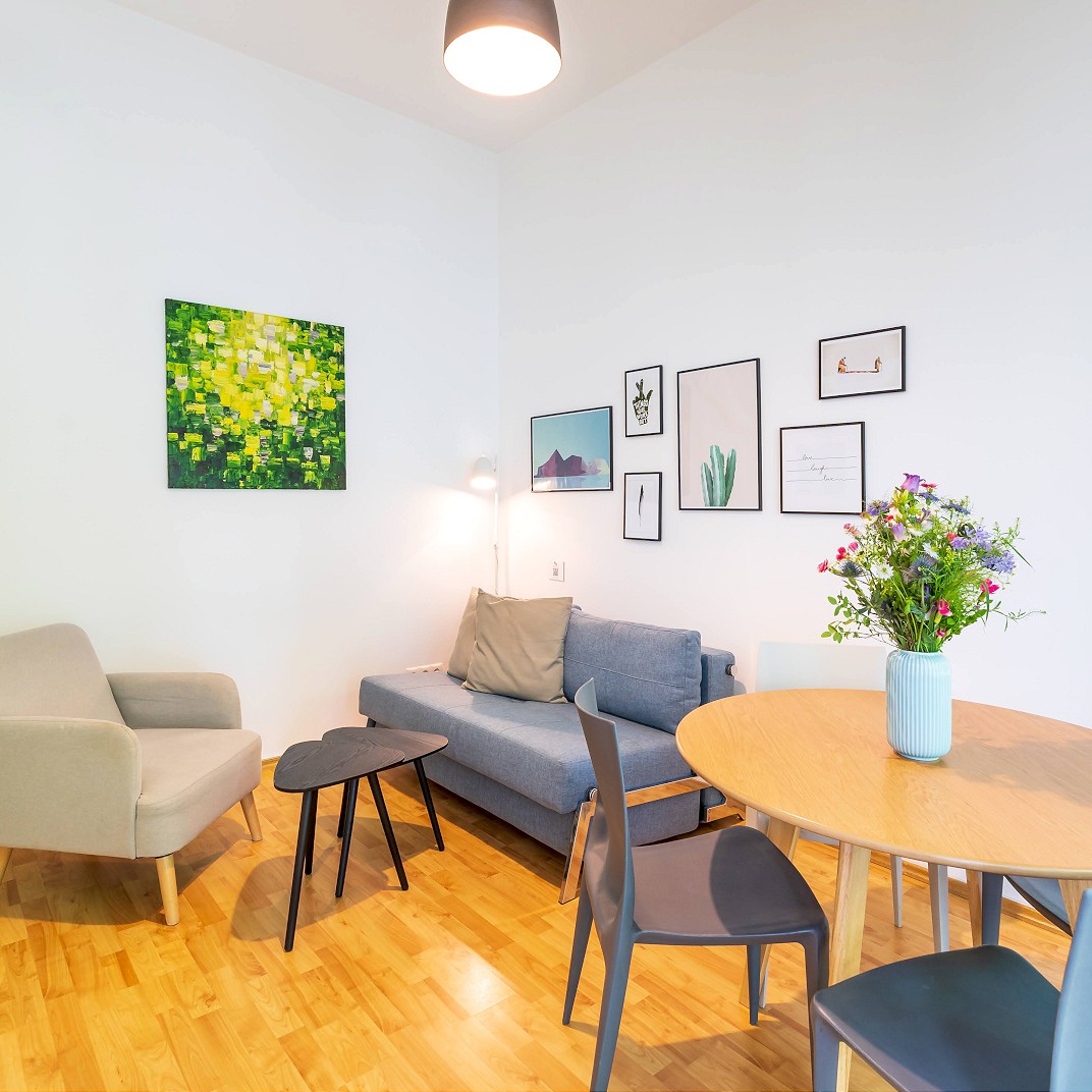 One Bedroom Apartment